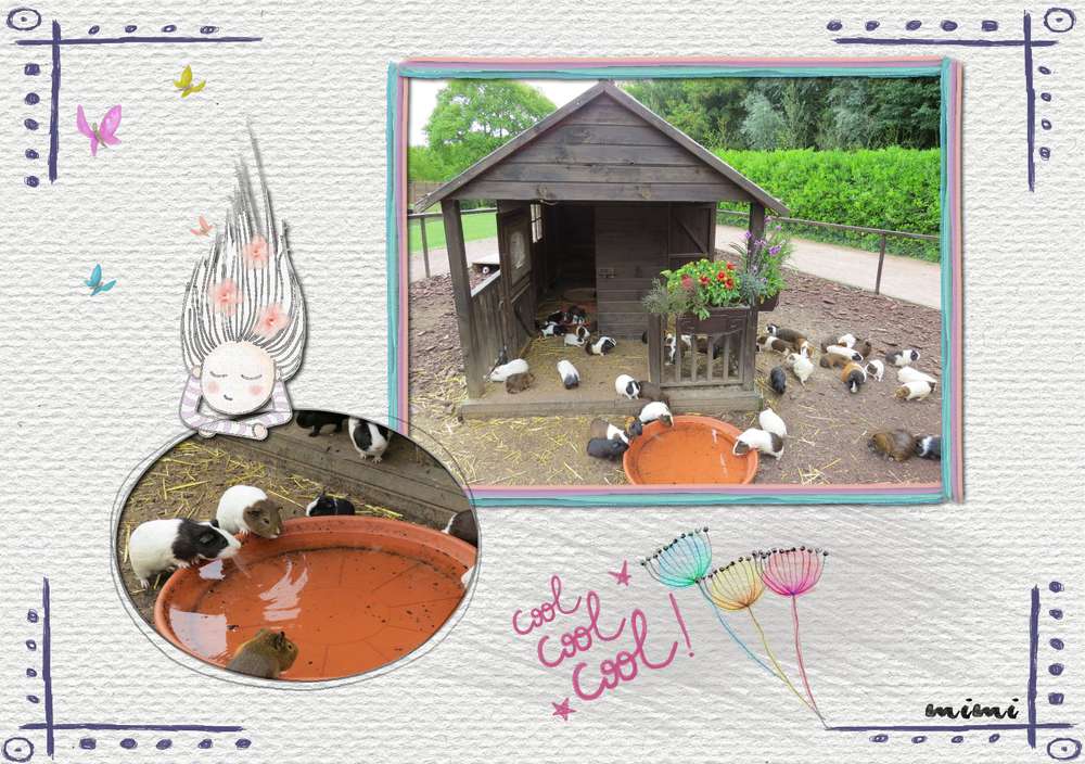 après les reptiles......