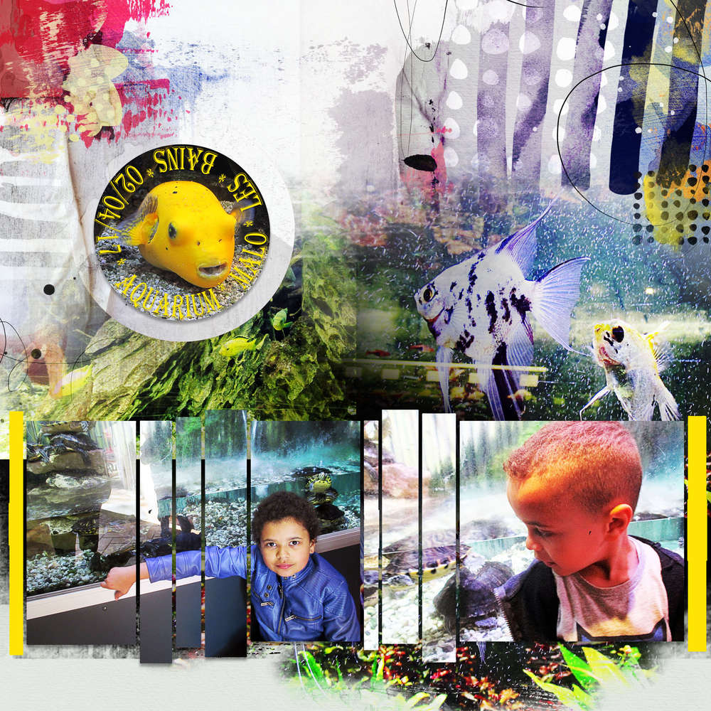 Aquarium Malo Les Bains in 02/04/17