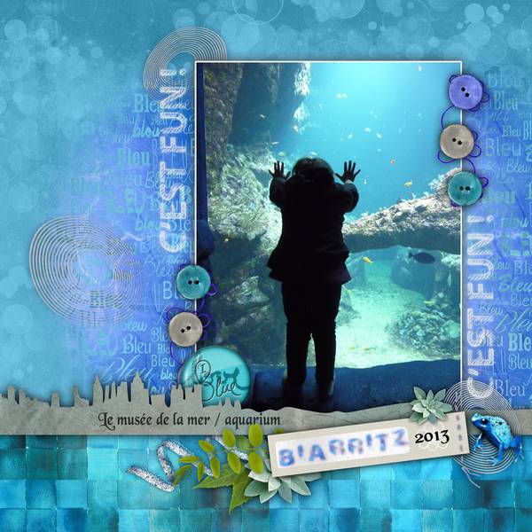 Aquarium - Simplement Bleu