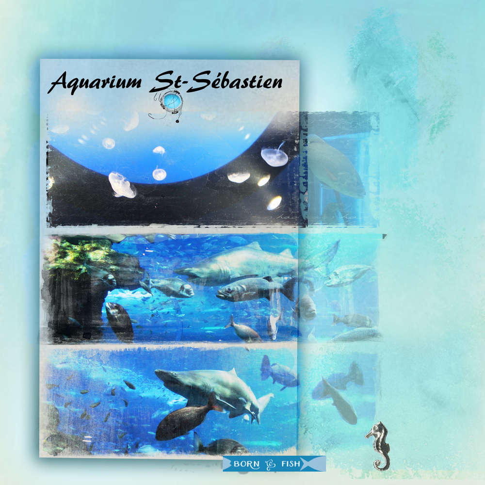 Aquarium