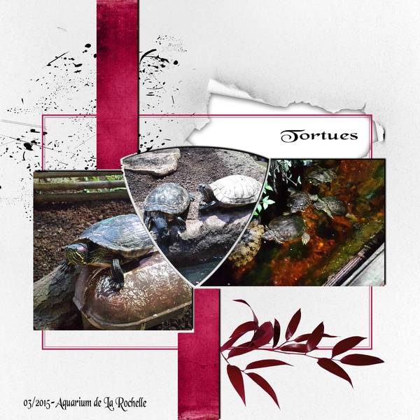 aquarium_la_rochelle-2