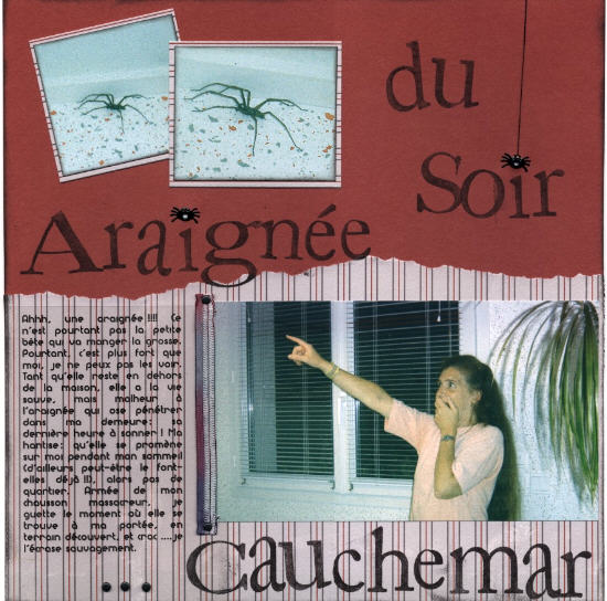 araignée du soir