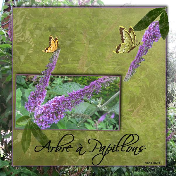 Arbre à papillons avec hors cadre