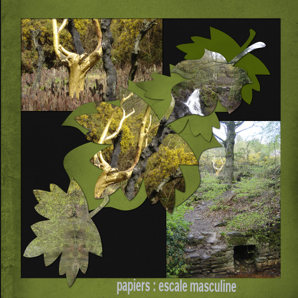 ARBRE D OR  - BROCELIANDE