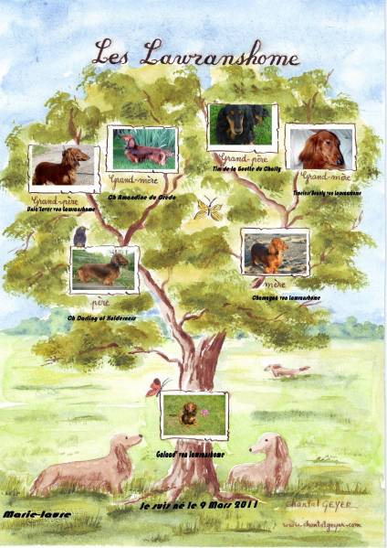 Arbre généalogique monté en scrap de la portée de Mars