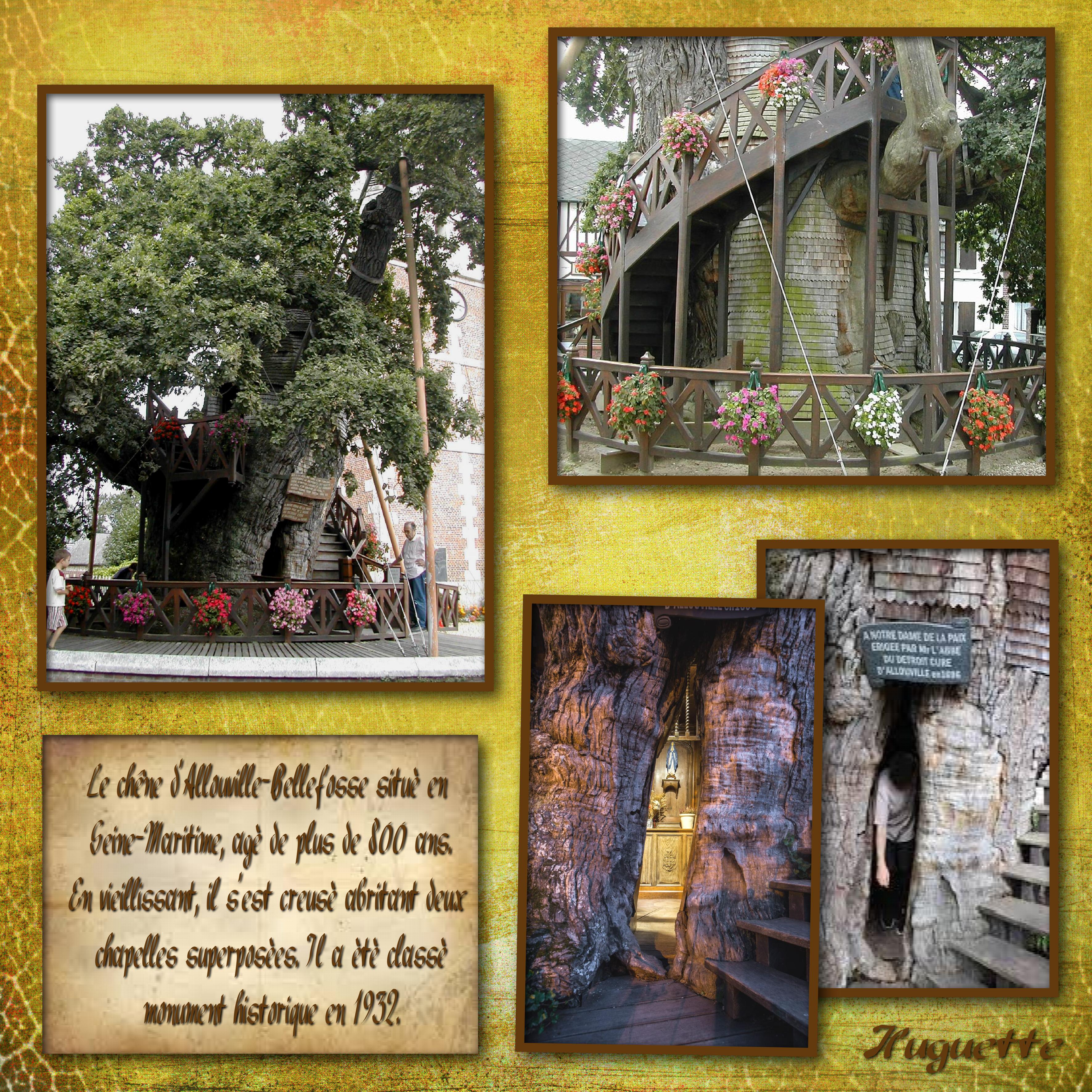 arbre  Huguette.jpg