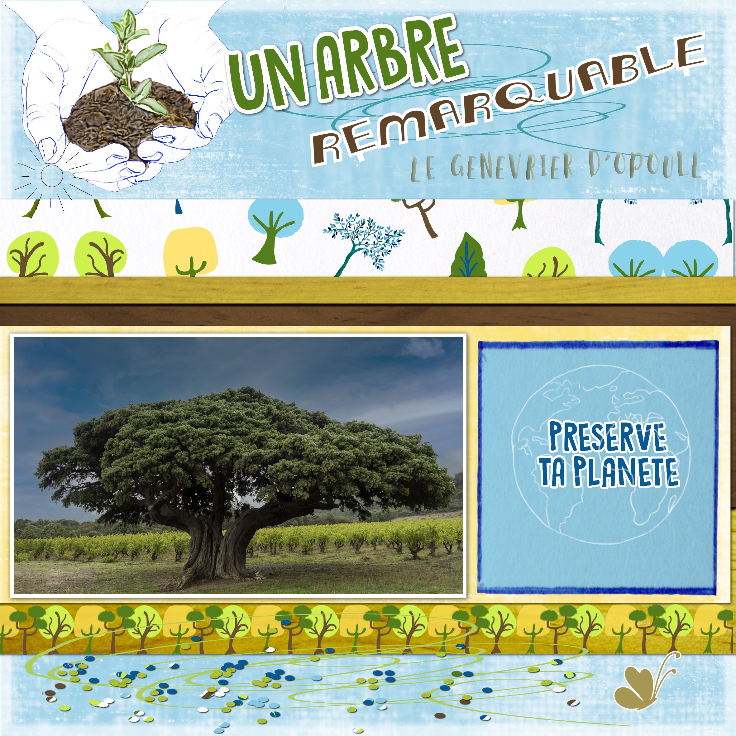 arbre.jpg