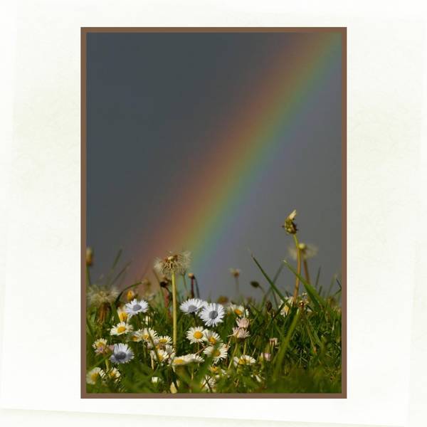 Arc en ciel et noir et blanc/couleurs
