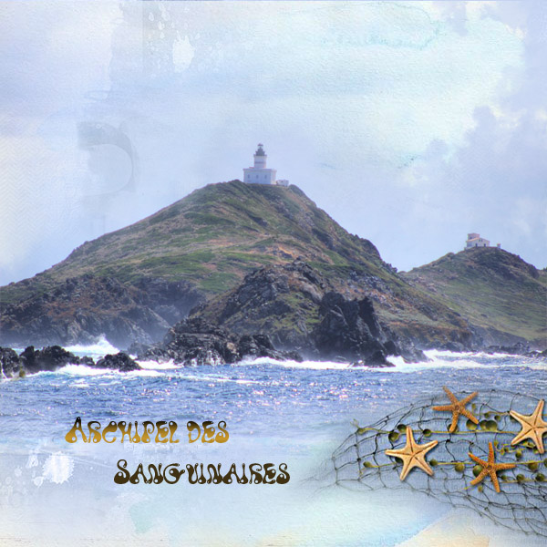 Archipel des sanguinaire