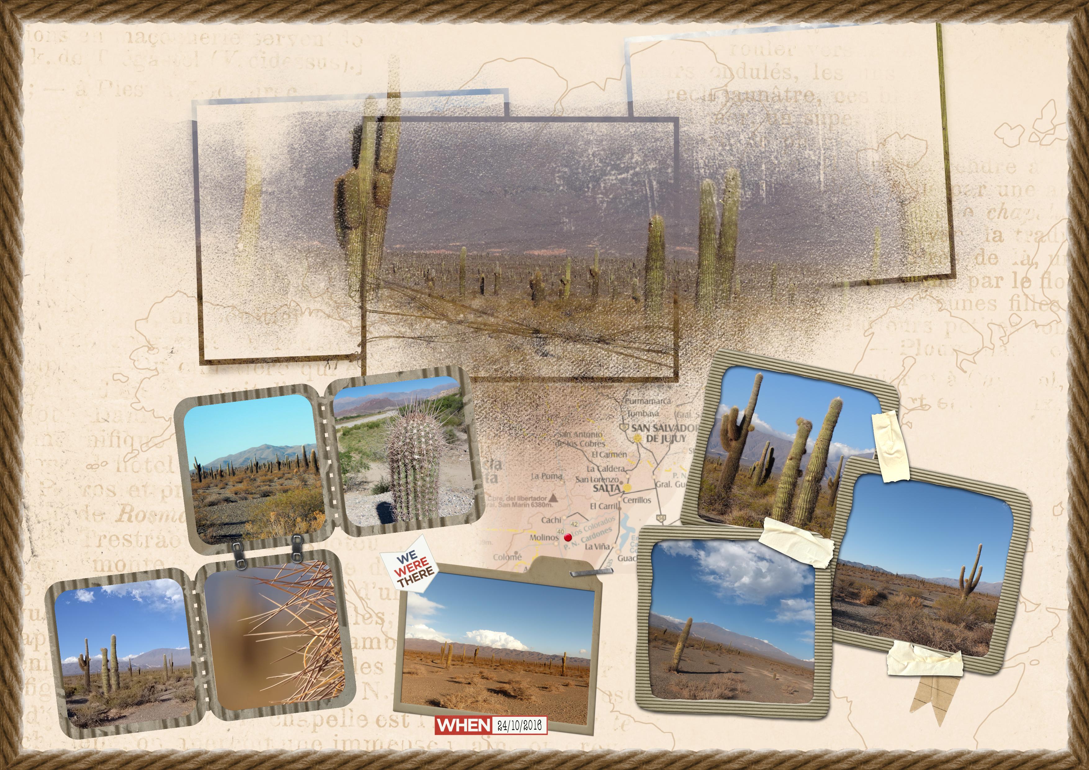 ARGENTINE - Parque nacional los cardones.jpg