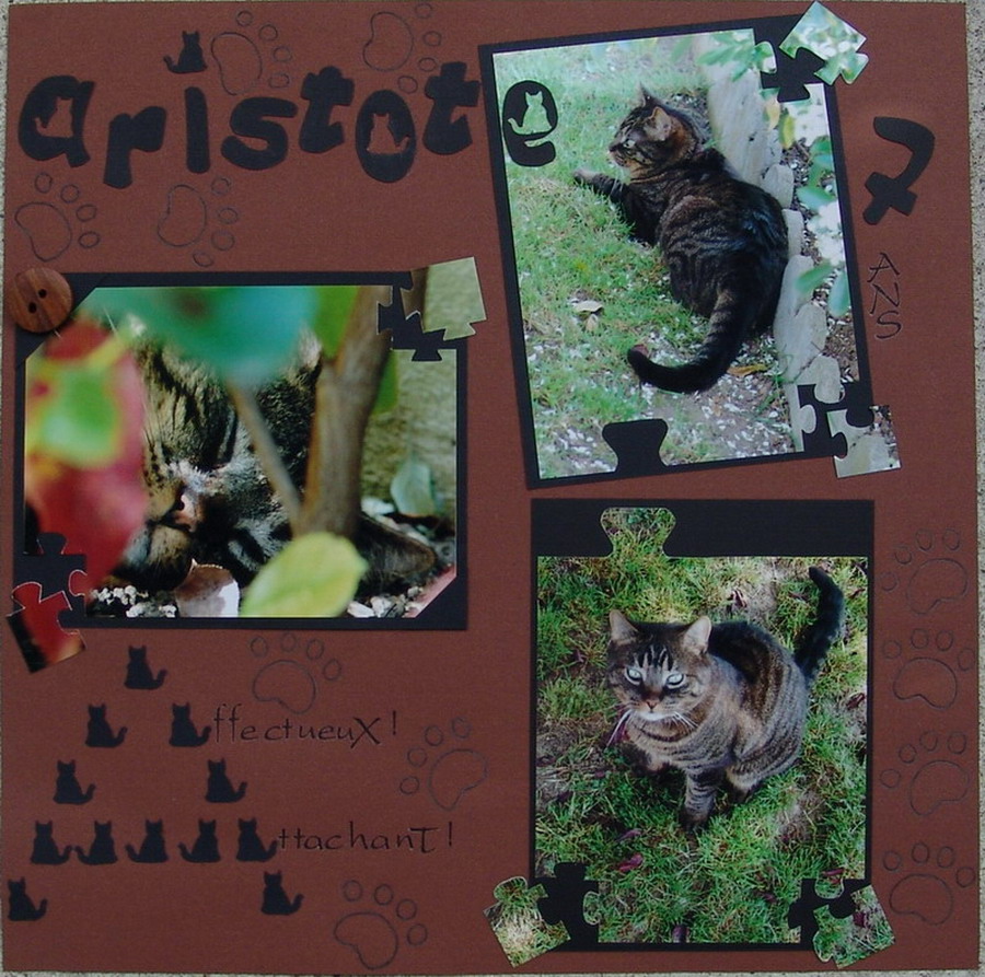 Aristote Mon Chat