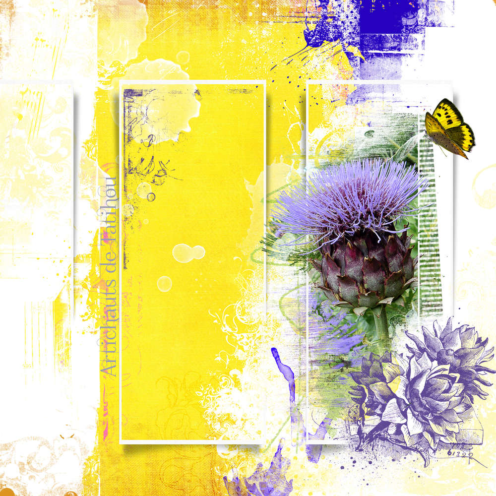 Artichauts de Tatihou