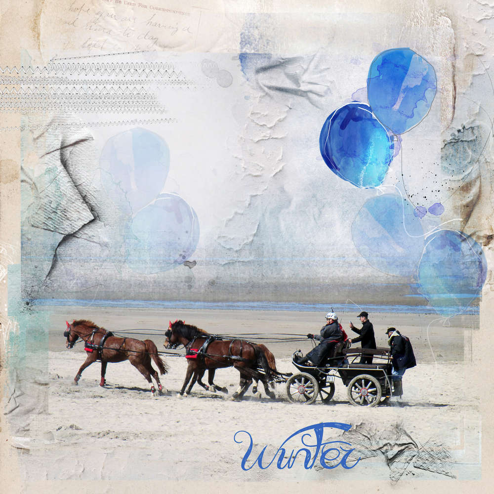 Attelage sur la plage !