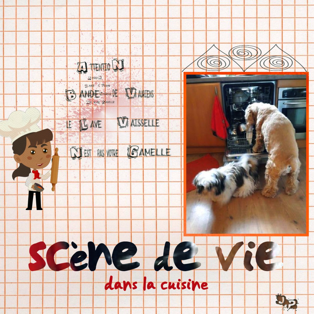 attention bandes de vauriens.jpg