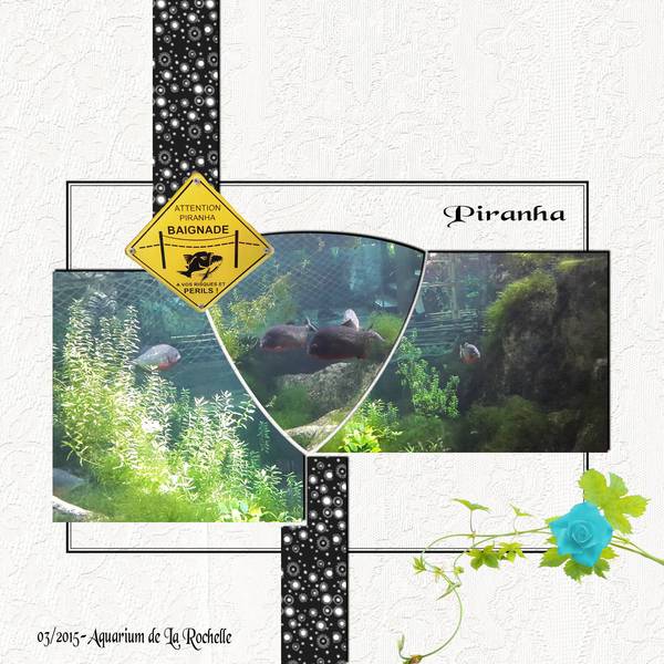 attention les doigts!!