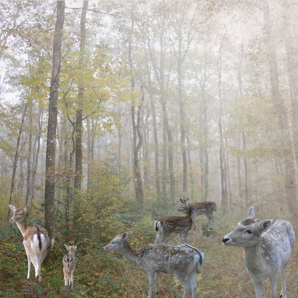 au bois des hates, avec un masque de Malou ;)