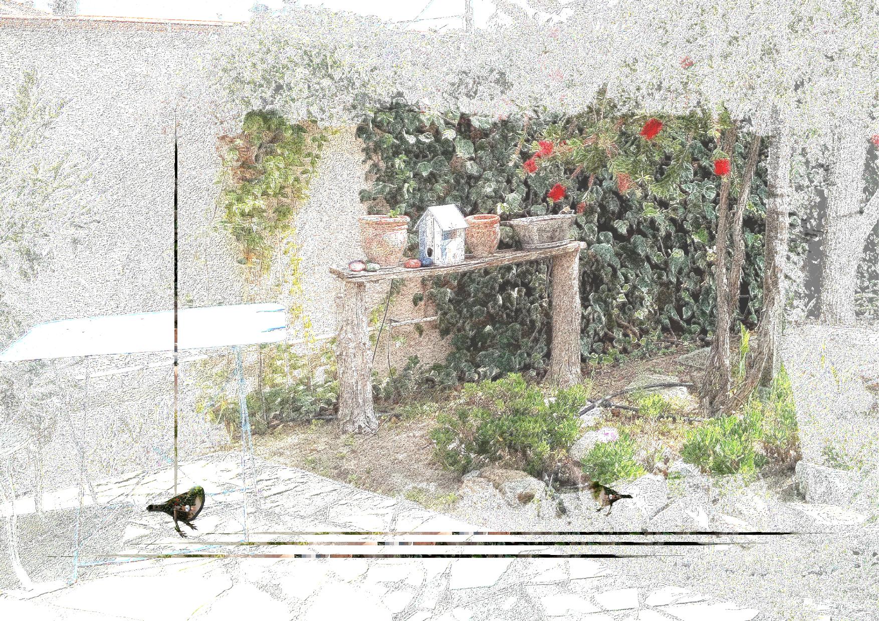 Au bout du jardin.jpg