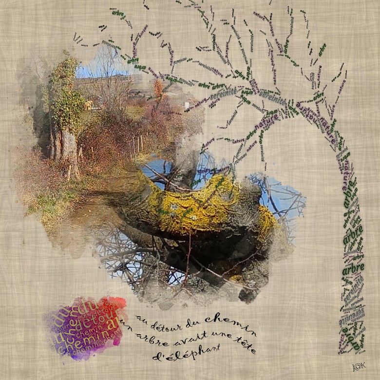 au détour du chemin un arbre avait une tête d'éléphant.jpg