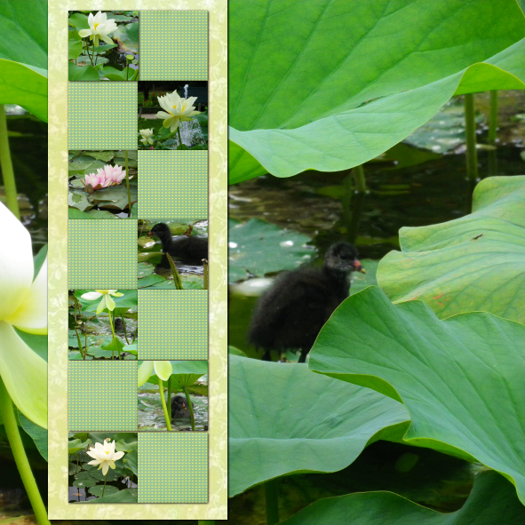 au jardin botanique - Tours