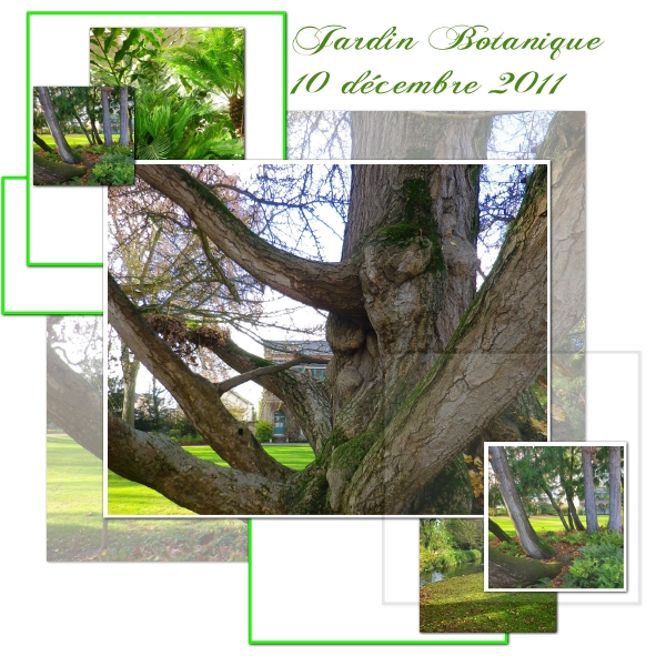 au jardin botanique - Tours