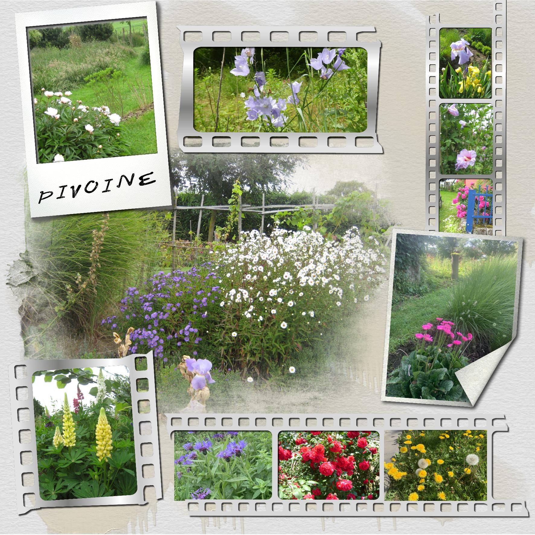 au jardin.jpg