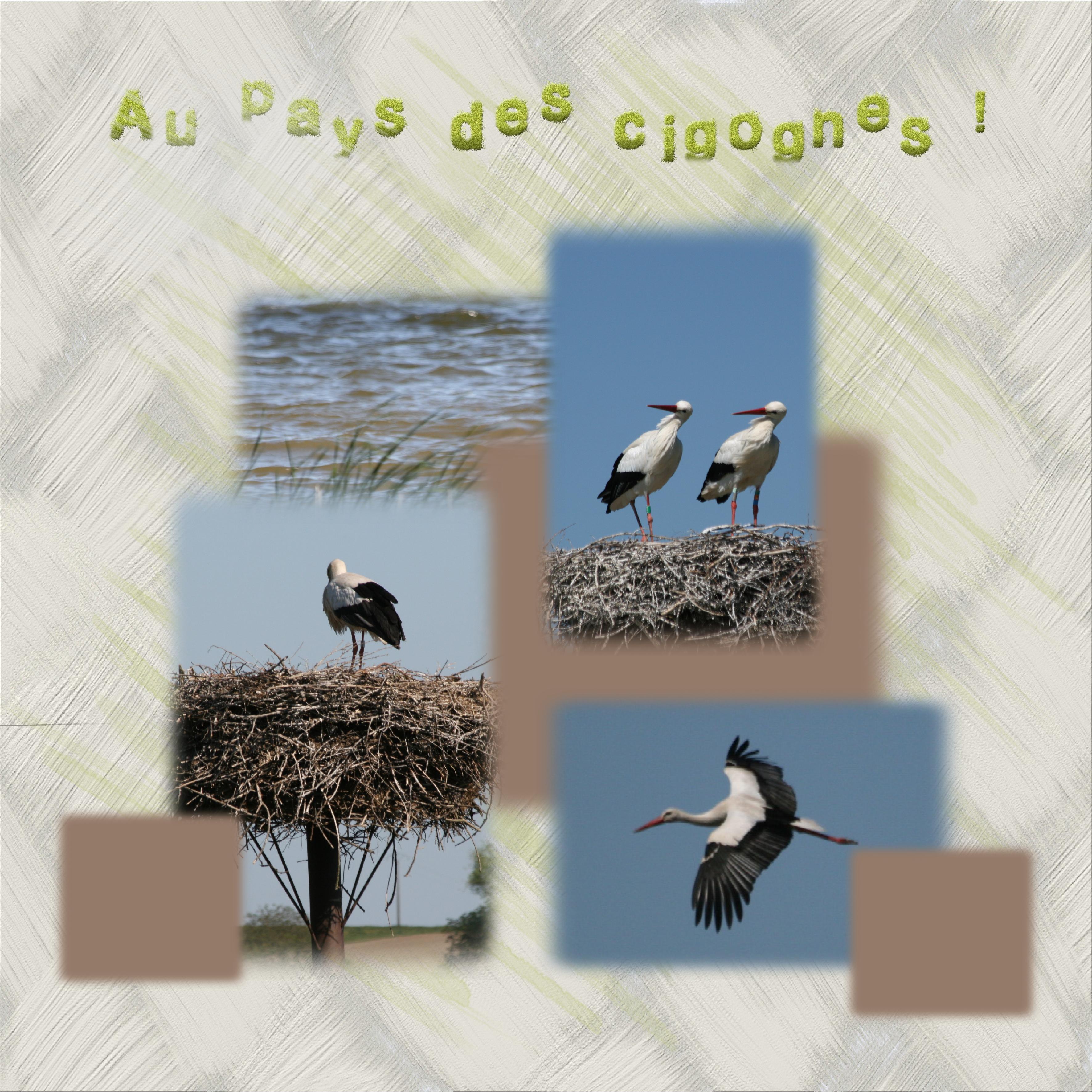 au pays des cigognes.jpg