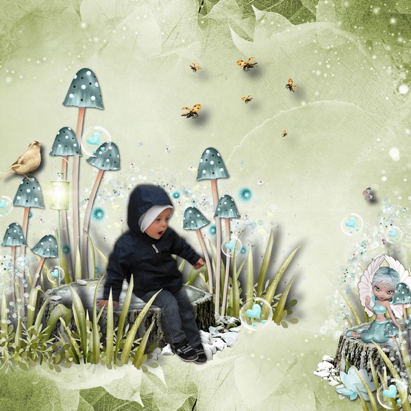 au pays des fées....