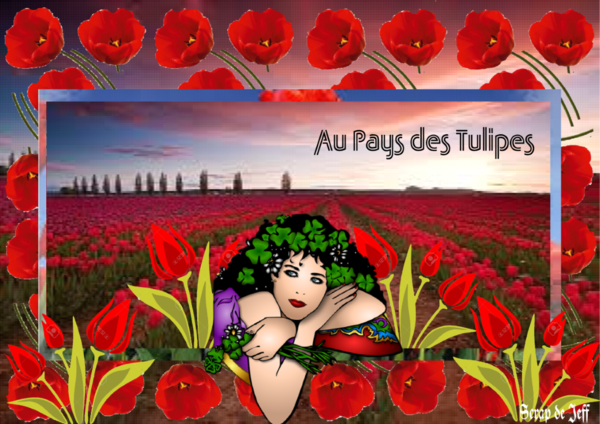 Au Pays des Tulipes