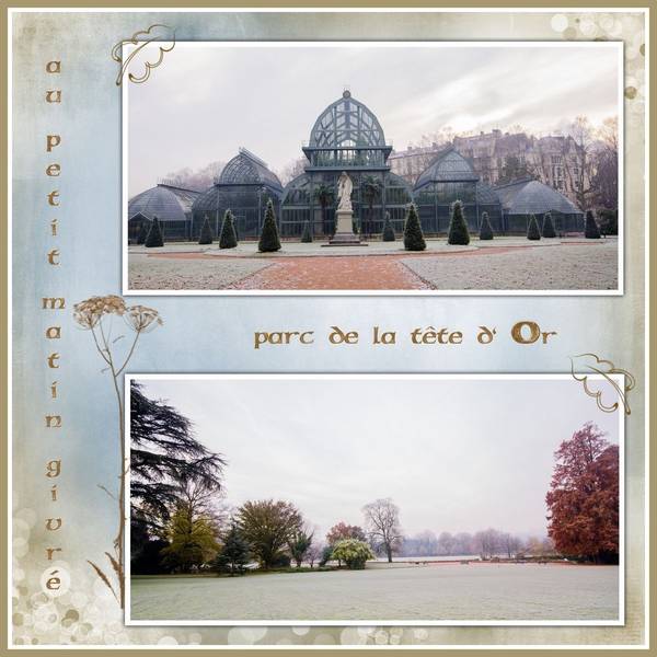 Au petit matin givré