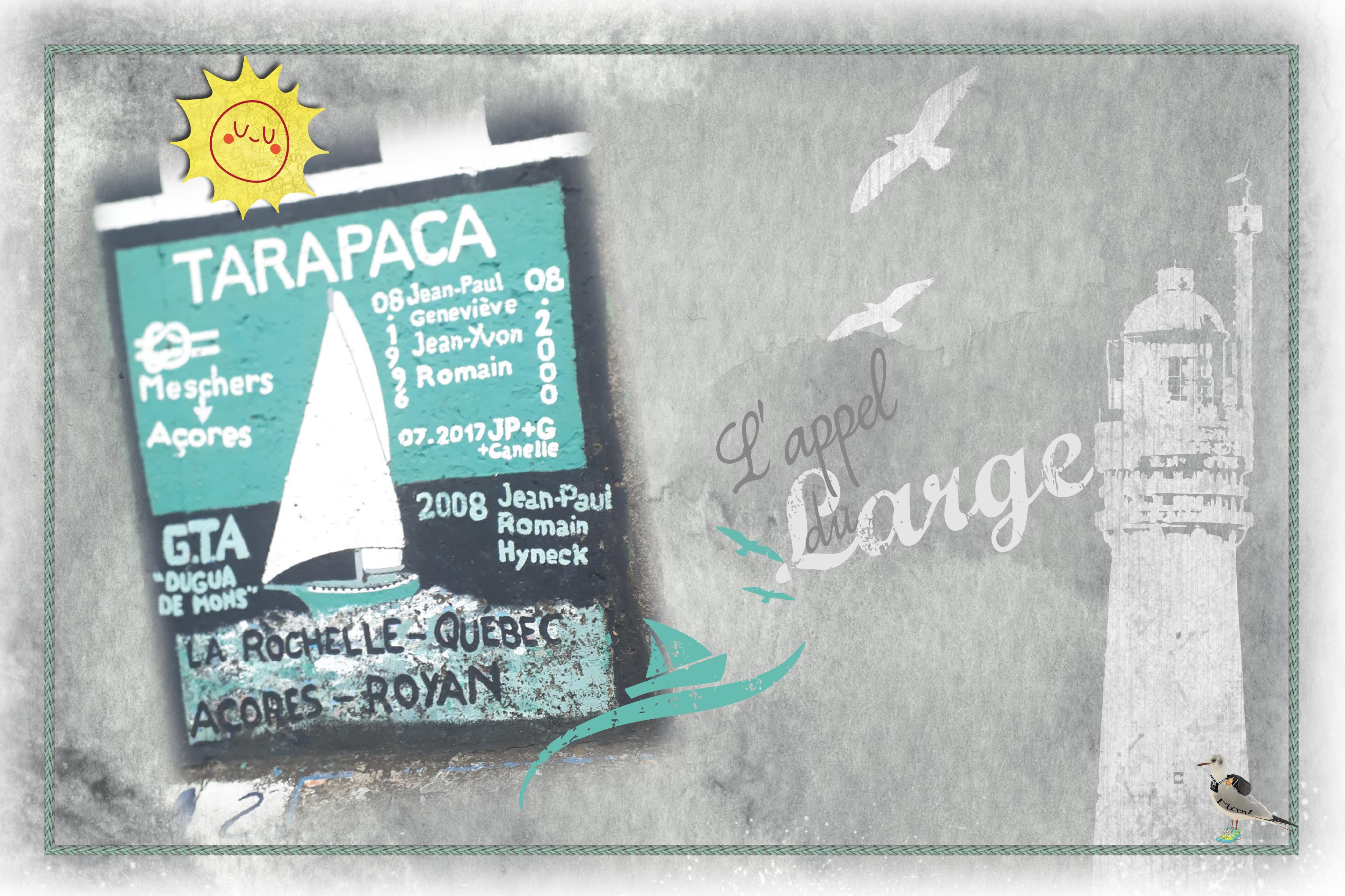 au port de Horta à Faïal-les Açores-13août.jpg