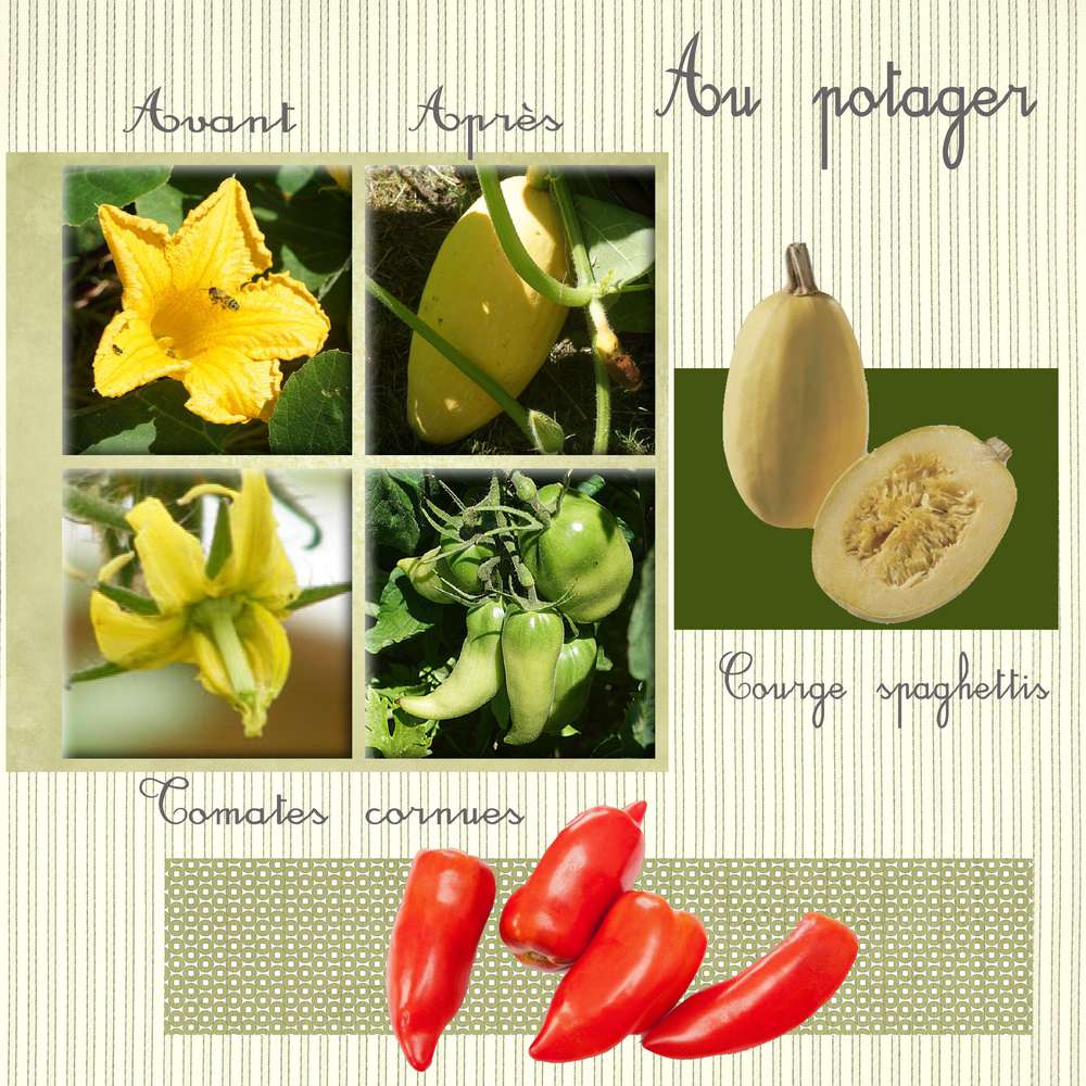 Au potager