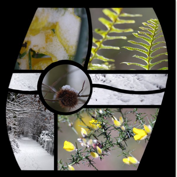 au printemps dernier