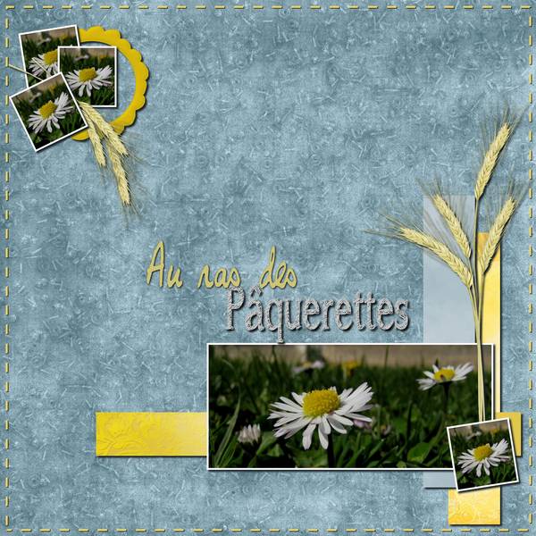 Au ras des pâquerettes