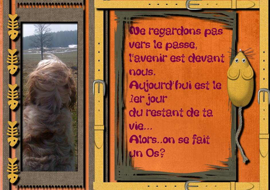 Au revoir 2010