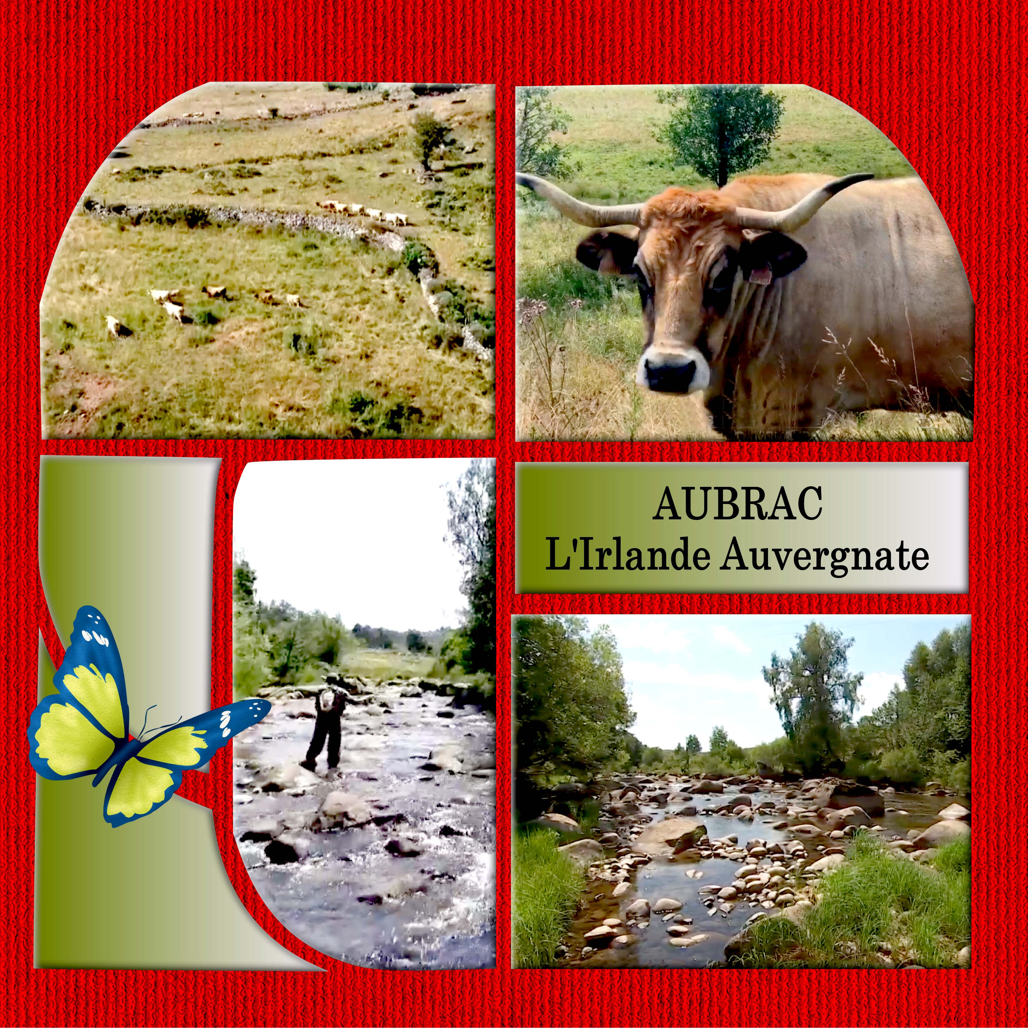 AUBRAC 1.jpg