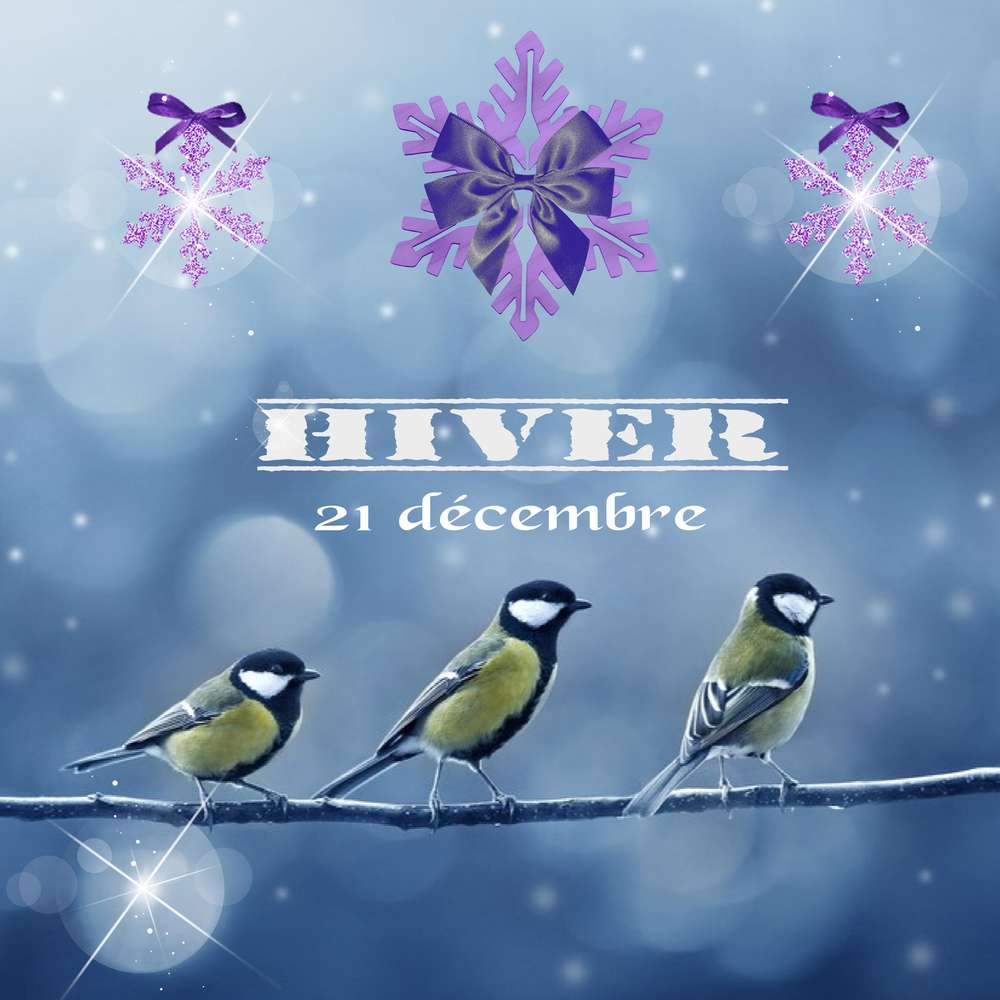 aujourd'hui c'est l'hiver....