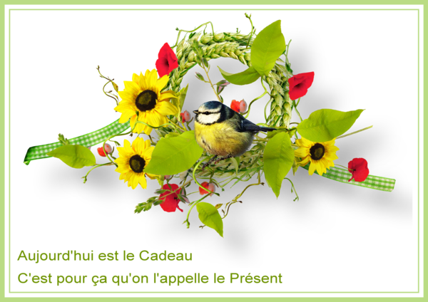 AUJOURD'HUI EST LE CADEAU