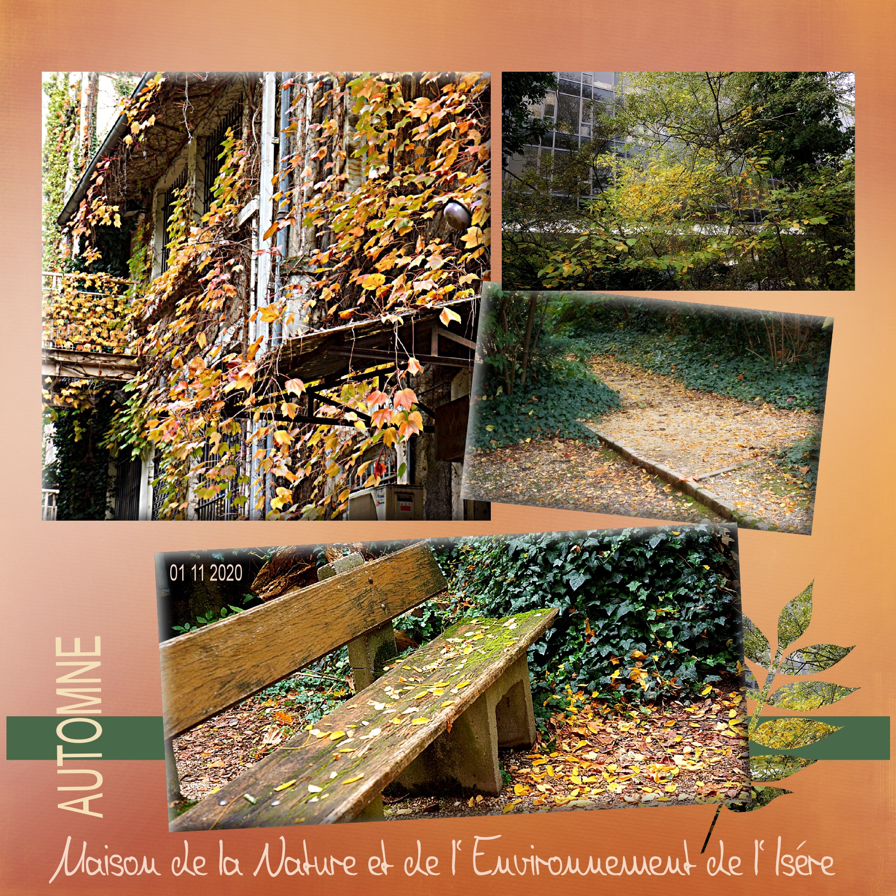 automne 01 11 2020 MNEI.jpg