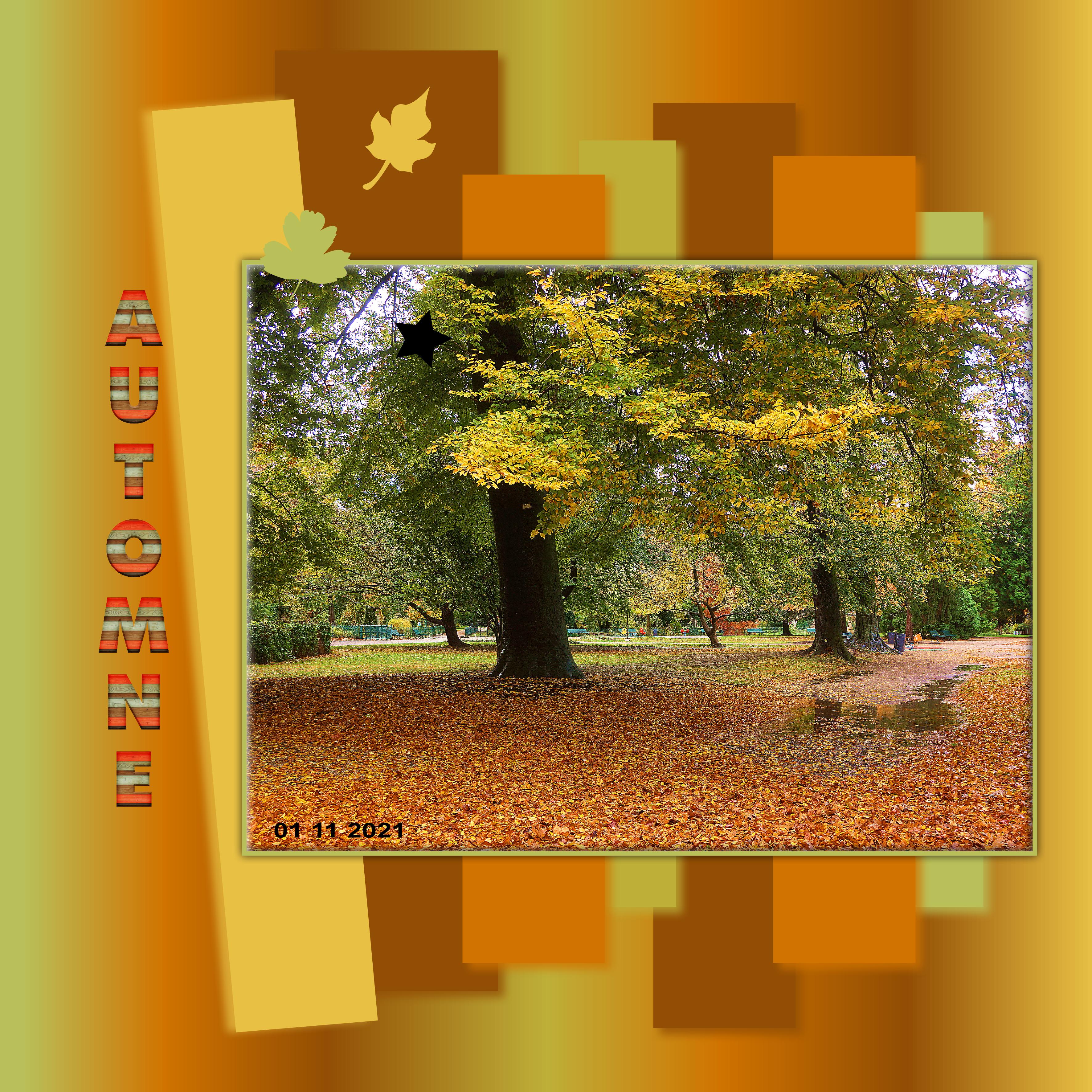 Automne 01 11 2021.jpg