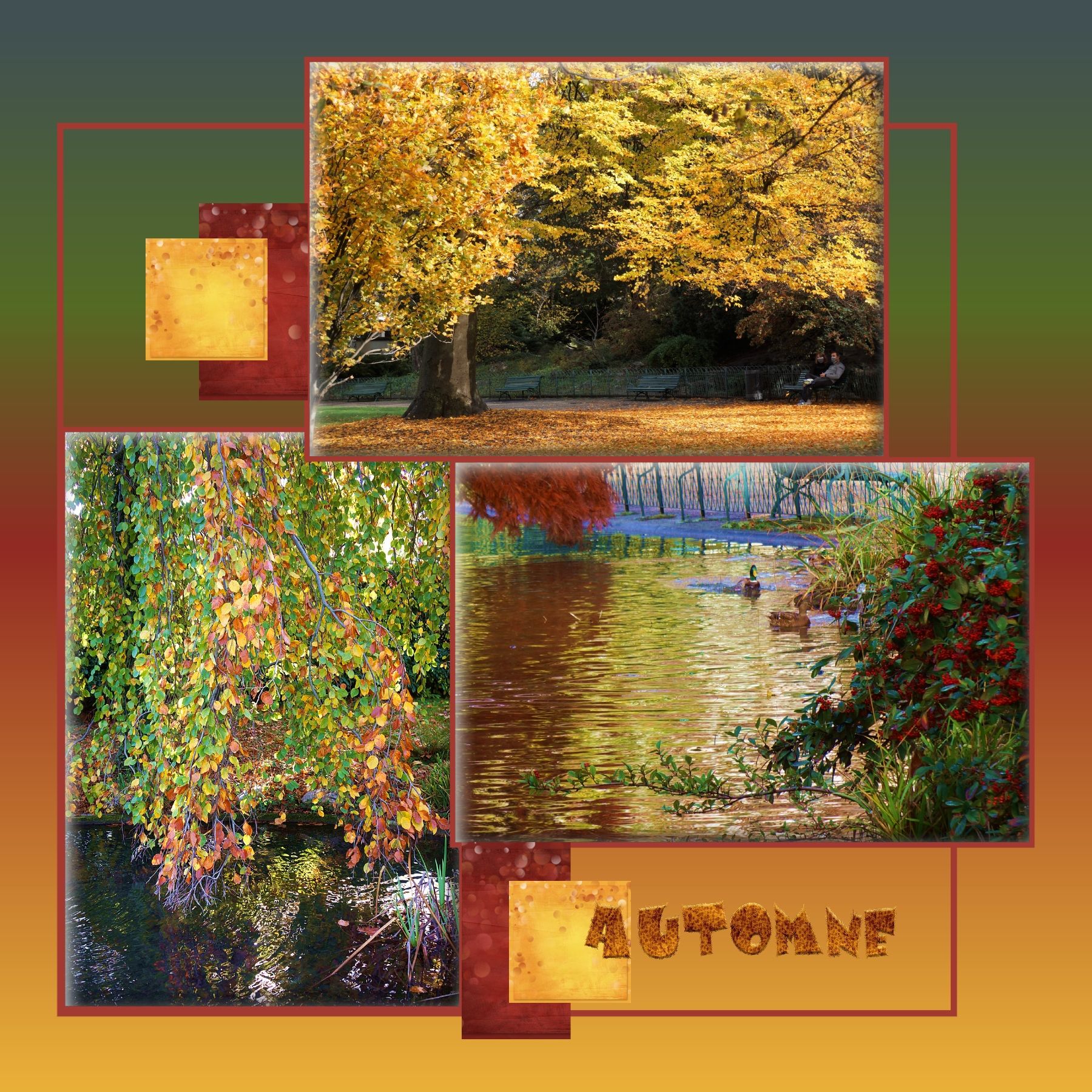 automne 10 11 2020.jpg