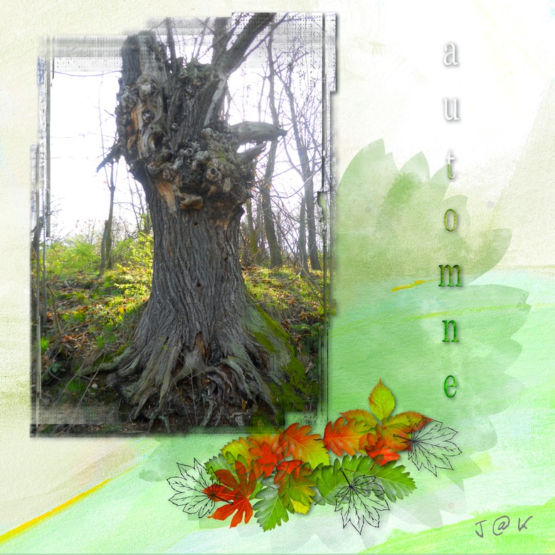 automne 19 10 2020.jpg