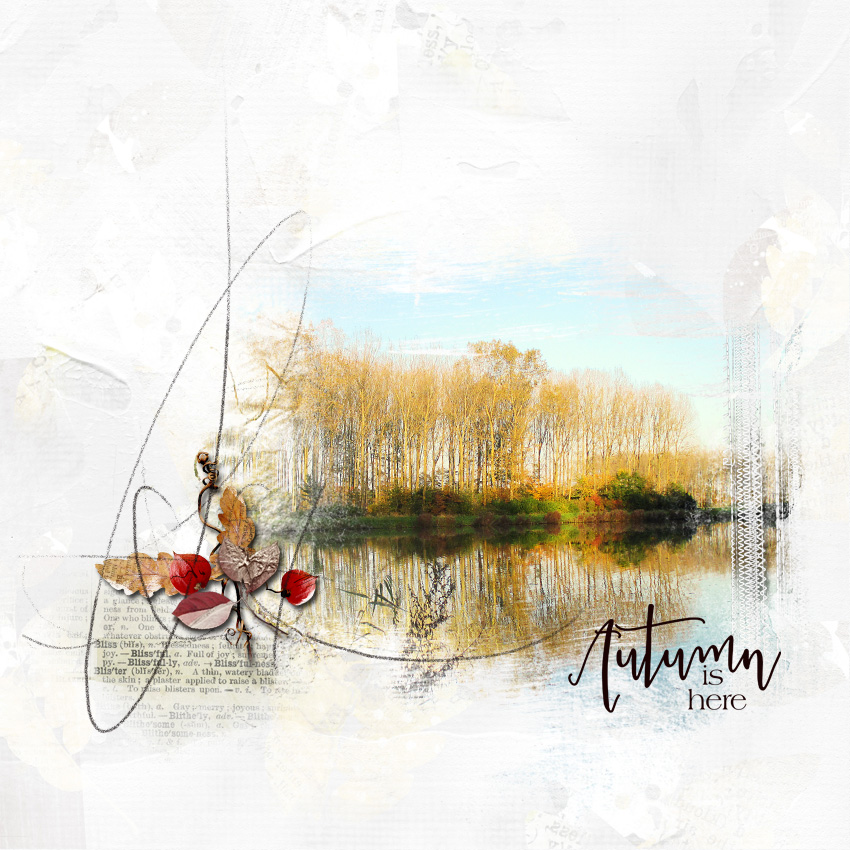 Automne Bois des forts