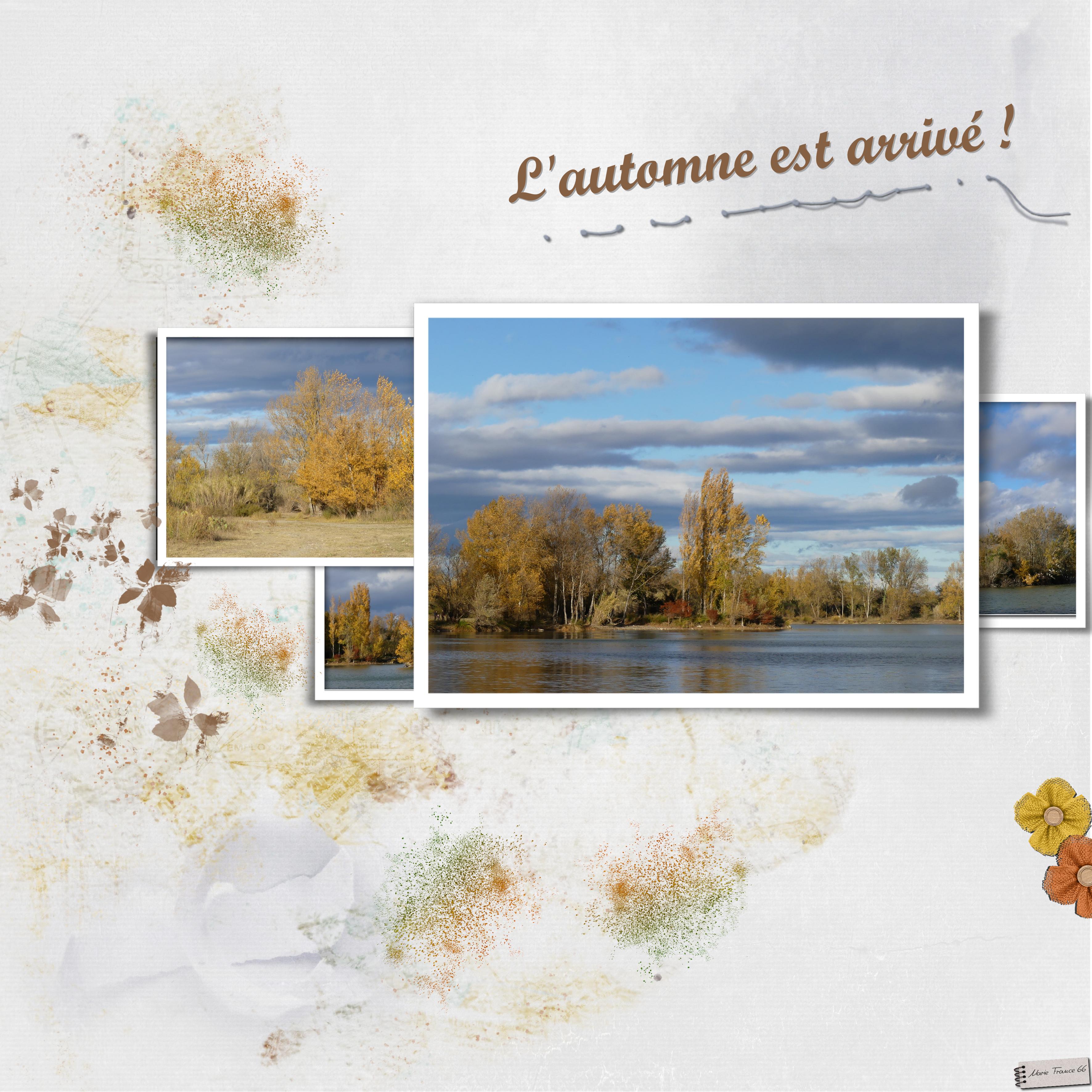 automne couleurs du 14.11.21..jpg