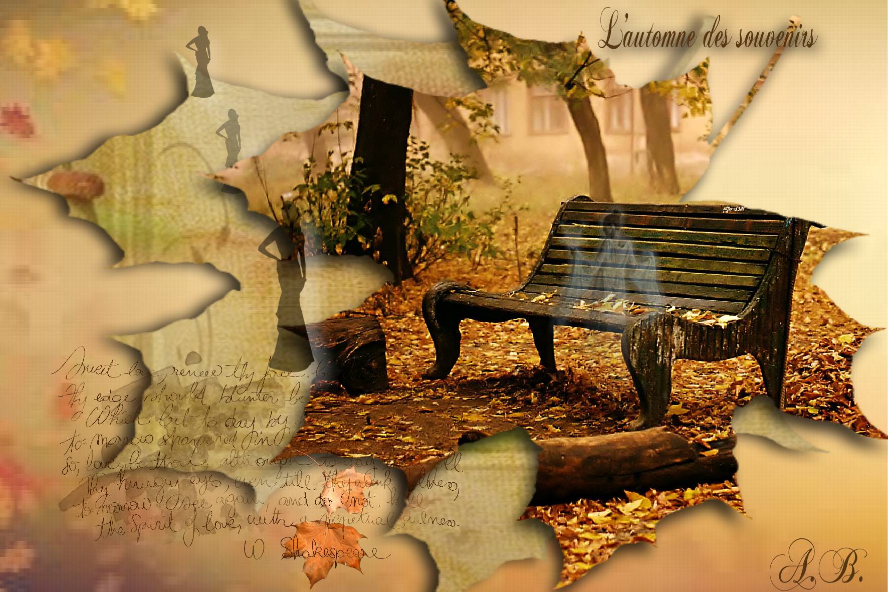 Automne des souvenirs.jpg