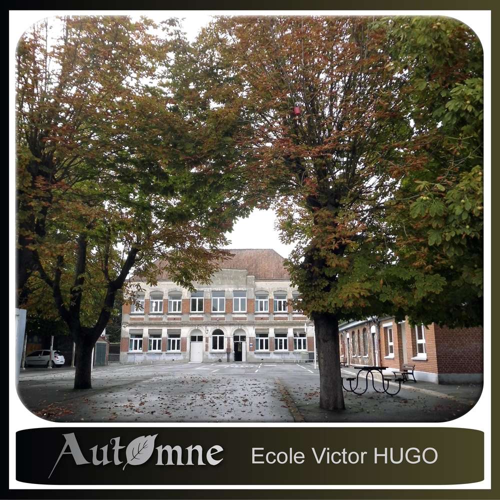 AUTOMNE - ECOLE VICTOR HUGO