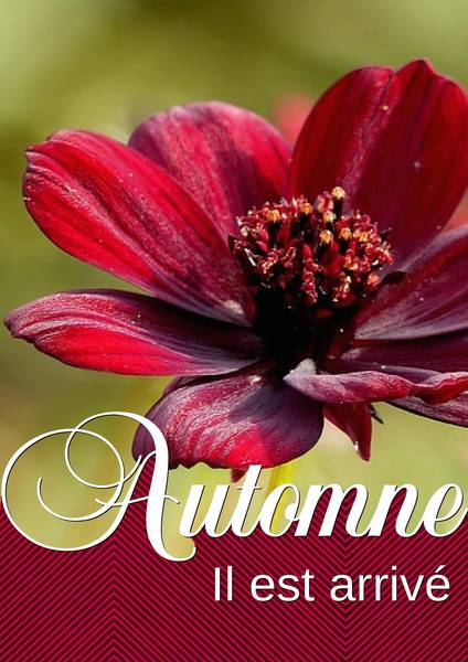AUTOMNE IL EST ARRIVE