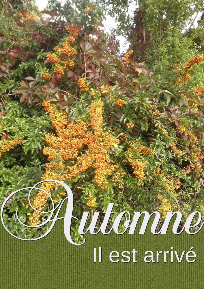 AUTOMNE IL EST ARRIVE