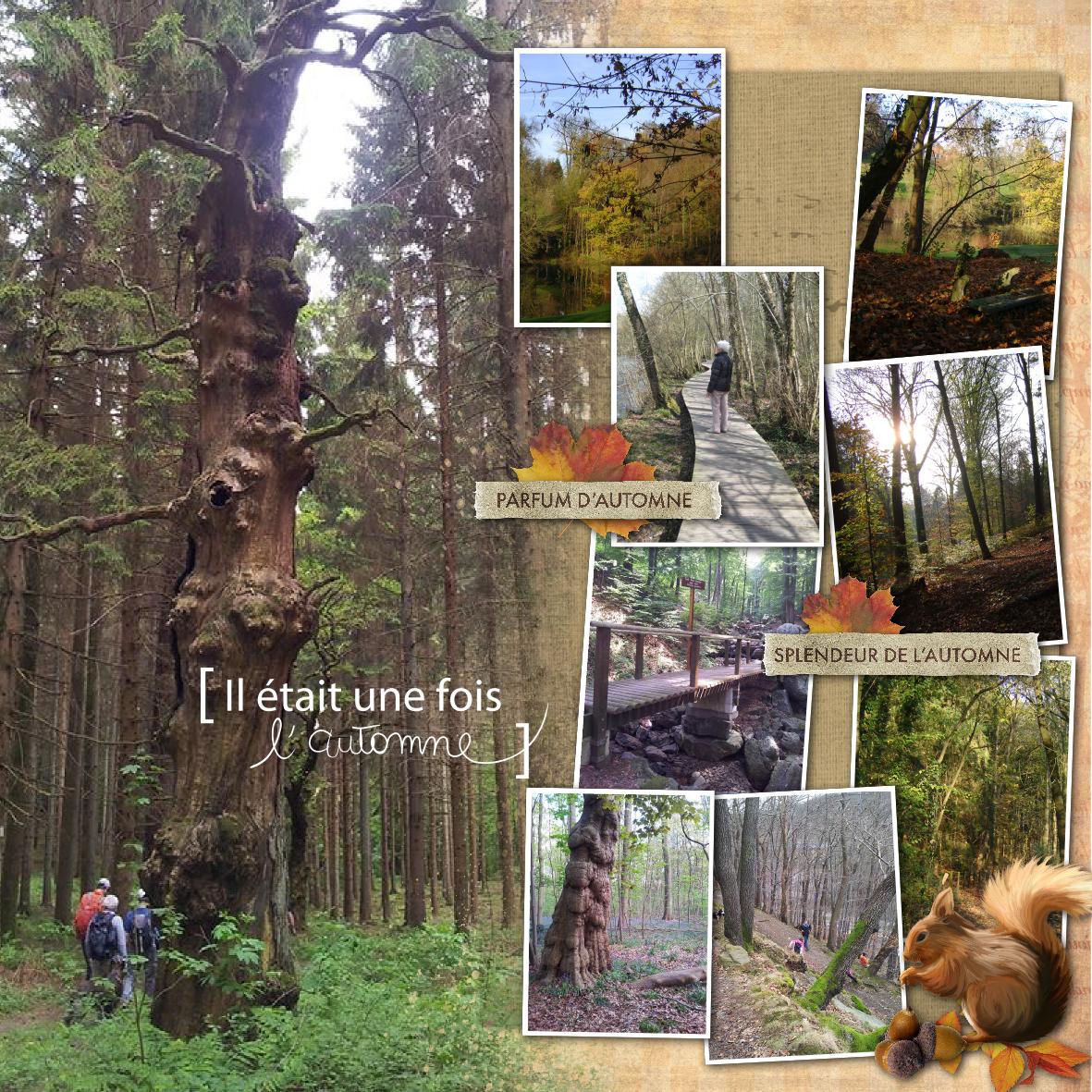automne.jpg