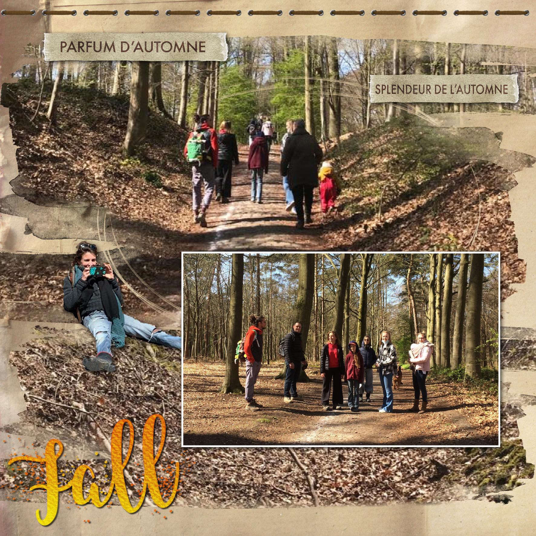 automne.jpg