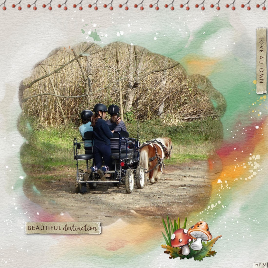 automne novembre 2021.jpg